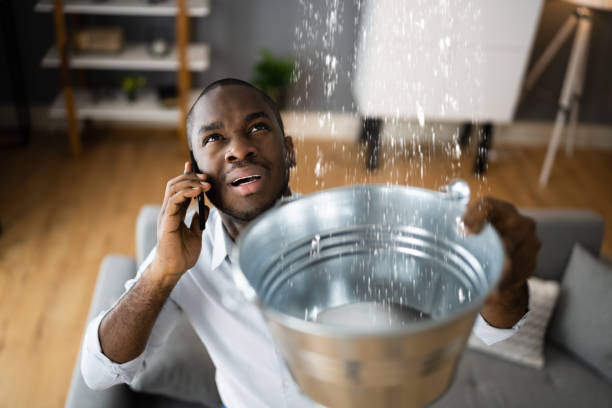 Best Water damage restoration near me  in Shortsville, NY