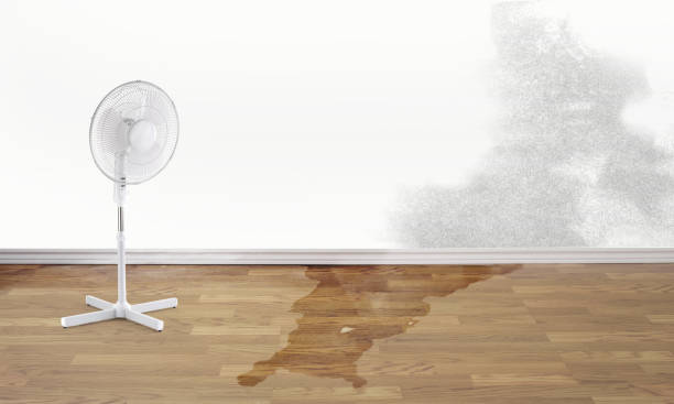 Best 24-hour water damage restoration  in Shortsville, NY