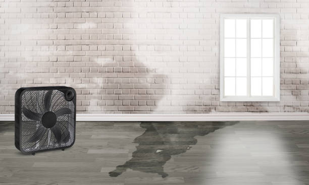  Shortsville, NY Water damage restoration Pros