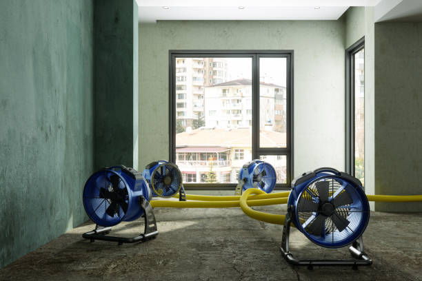 Best Fire Damage Restoration  in Shortsville, NY