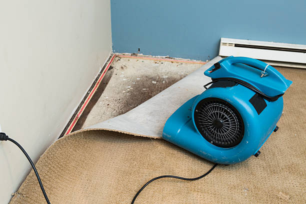 Best Water damage contractors near me  in Shortsville, NY